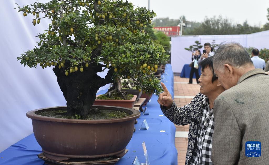 九州登陆网址