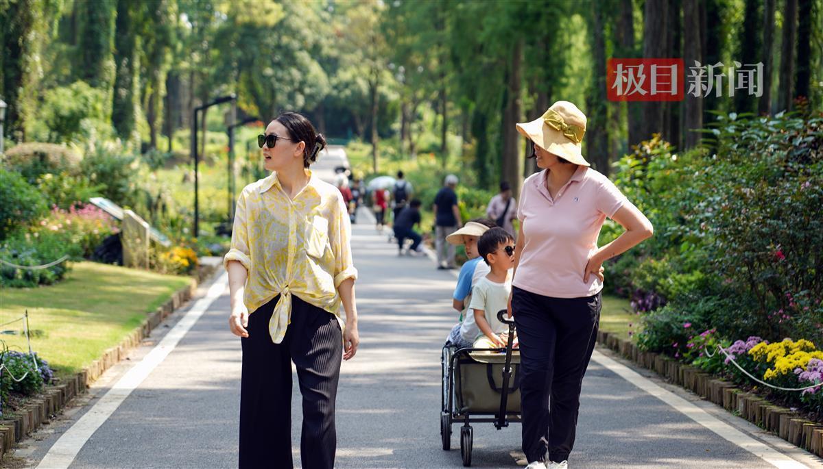 天天斗地主真人版电脑下载